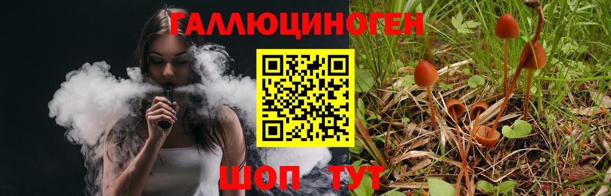 Конаково  купить  сайты  Псилоцибиновые грибы Psilocybine cubensis  Вход с VPN  Галлюциногенные грибы мицелий 